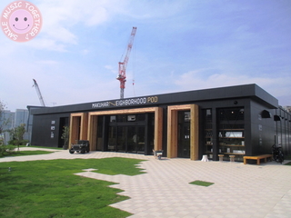 05.jpg